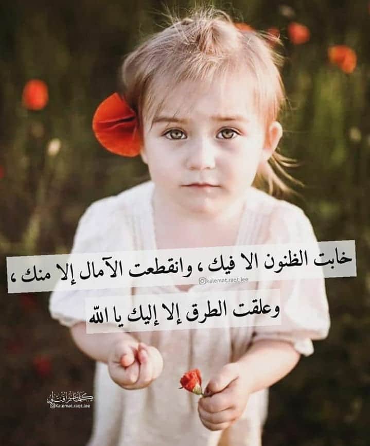 المهندس محمد طعين (@operation1994) on Twitter photo 