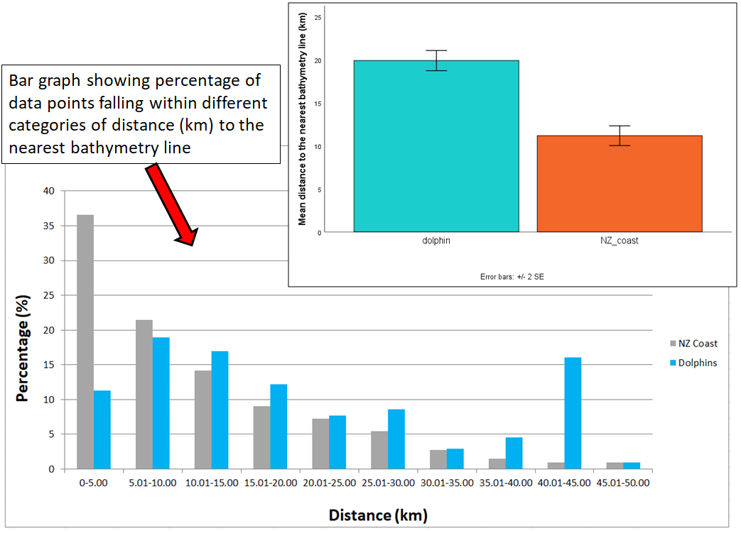 MicaelaGrove8's tweet photo. 5/6 #SpsMon1 #DICECON20 The greater the distance from the shore to the 1st bathymetry line, the shallower the angle of the seabed, increasing likelihood of deposition. The seabed at the beach-cast 🐬 locations was significantly more gently sloped compared to 🇳🇿 as a whole https://t.co/0axc741sqa