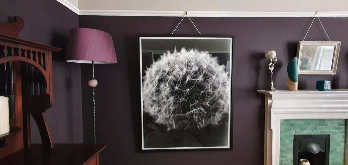 michaelphoto's tweet photo. 4x5 paper negative printed and framed in a clients living room. #deadlydigital #papernegatives #papernegative #largeformatfilmphotography #linhof_master_technika4x5 https://t.co/11ke0HDI9k