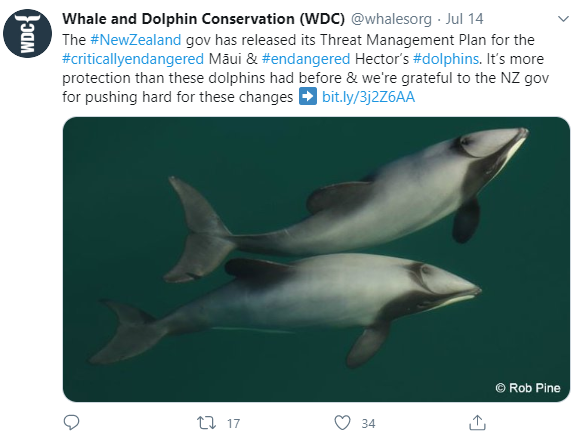 MicaelaGrove8's tweet photo. 6/6 #SpsMon1 #DICECON20 If 🐬 are dying in one location but washing up further down the shore where the seabed angle is shallower, then we must ensure that management strategies target where they are threatened and not where they become beach-cast.  🙏 @wildbusiness @JimRoberts https://t.co/UX46K4XmYq