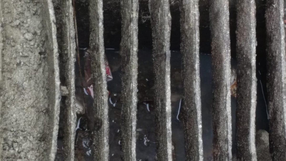 PayalReshamdala's tweet photo. @mybmcWardD @PrashantNGaikwd @mybmcSWD @mybmcSWM @MCGM_BMC @mayor_mumbai @MySwachhMumbai Actual pictures  !   !  !

Gutter is full of mud, 1 paver block and tharmocal glass 

Your staff not bother to clean it before posting pictures shows that they attended complain 

Jali totally rusted also not change. Requesting u to change 

Only patch work and resurface done https://t.co/ePRziSAL16