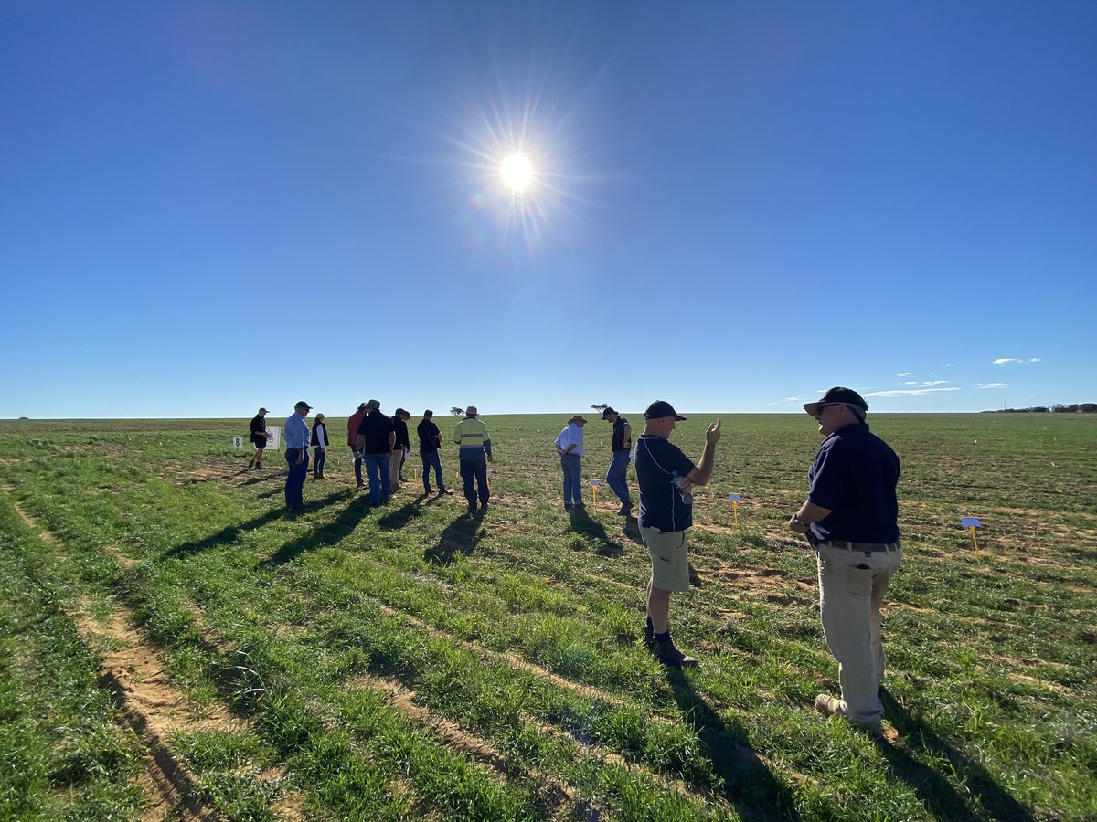 susannah_packer's tweet image. Wrapping up the last two weeks of work experience with @LiebeGroup. Had heaps of fun and learned so much. Thank you to the staff for hosting me - you guys are doing great things! See you at Spring Field Day!