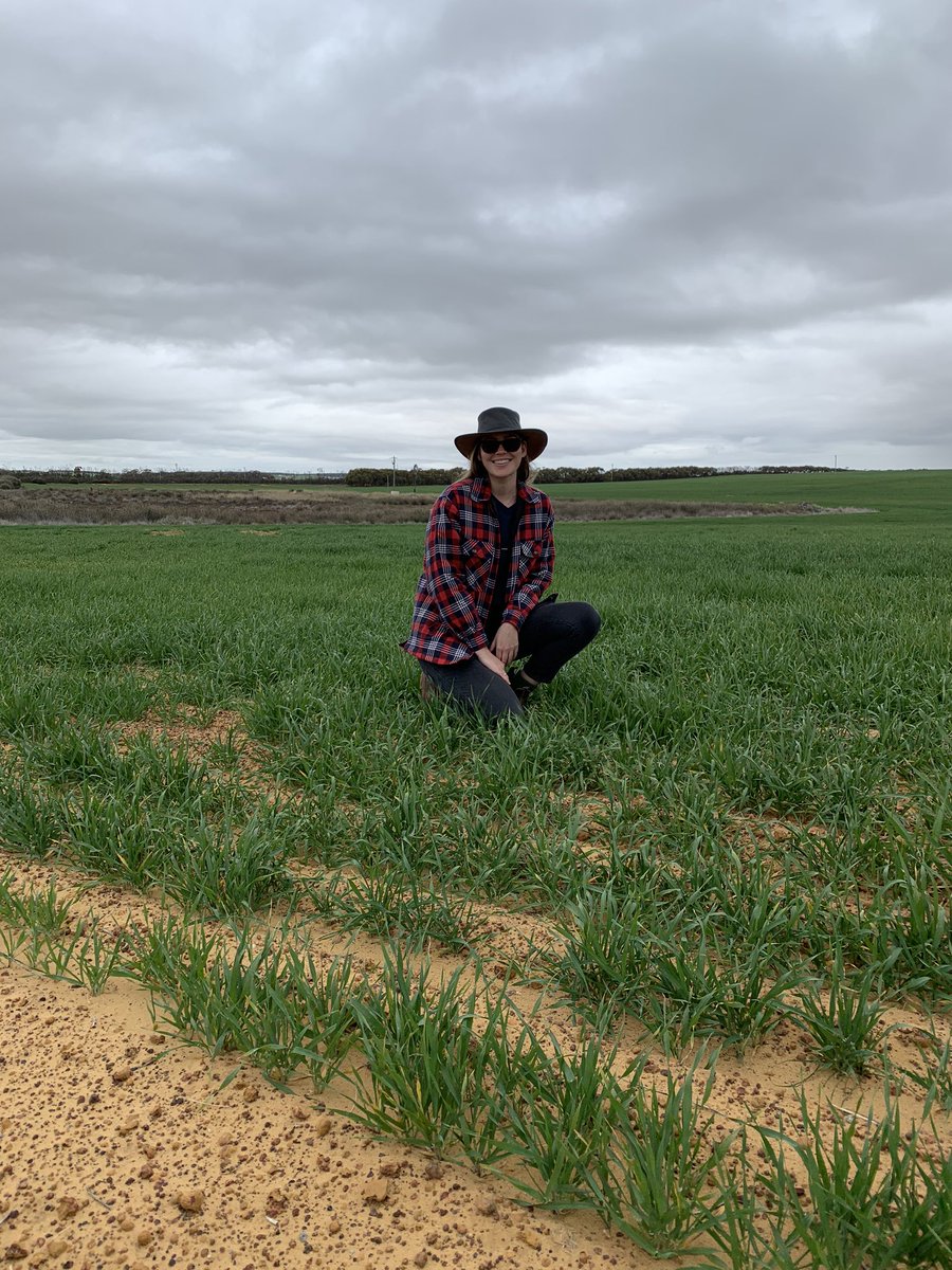 susannah_packer's tweet image. Wrapping up the last two weeks of work experience with @LiebeGroup. Had heaps of fun and learned so much. Thank you to the staff for hosting me - you guys are doing great things! See you at Spring Field Day!