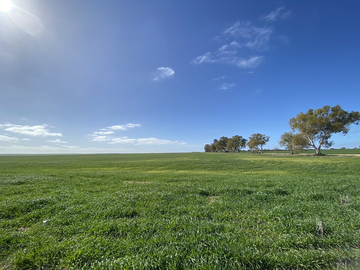 susannah_packer's tweet image. Wrapping up the last two weeks of work experience with @LiebeGroup. Had heaps of fun and learned so much. Thank you to the staff for hosting me - you guys are doing great things! See you at Spring Field Day!