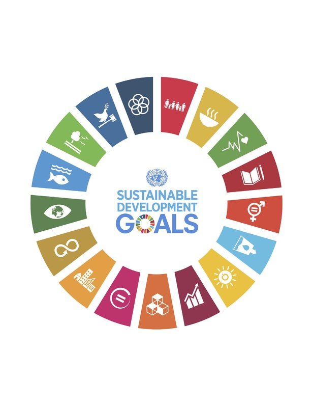 Notion444's tweet photo. #मंदिर_नहीं_अधिकार_चाहिए
Building RAM MANDIR will help us no where out in fulfilling d SUSTAINABLE GOALS 4 future generations in our country.
Still,it is considered as one of d "WORLD BIGGEST AFFAIR" leaving aside d real issues dat really need to be achieved.
#NarendraModi 
#BJP https://t.co/MVlCblq4gh