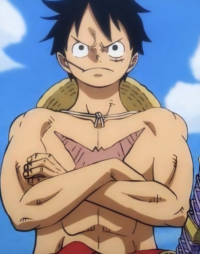 MontCorvo_Off's tweet photo. Monkey D. Luffy 1999-2020 https://t.co/oPHEokiQws