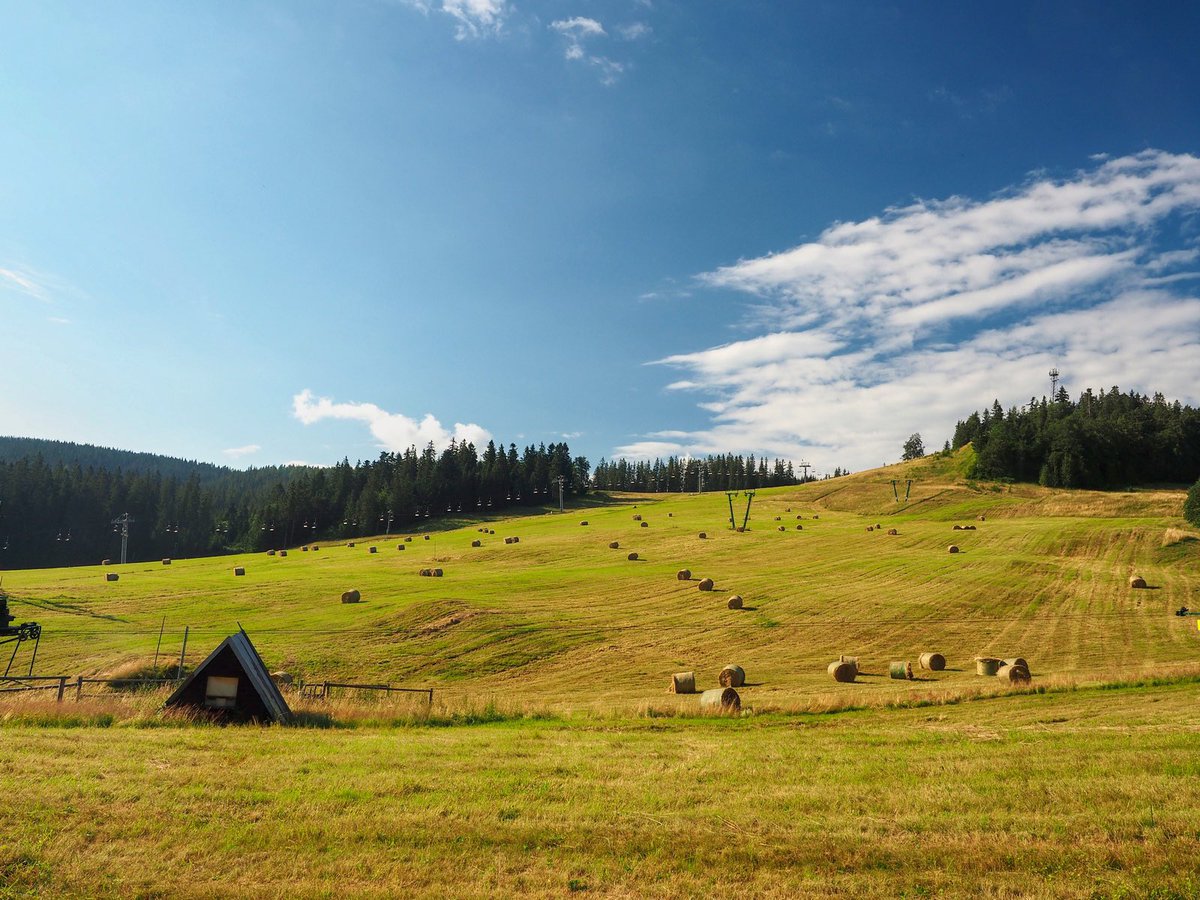 _Donovaly's tweet photo. Júlový pohľad na zjazdovky na Záhradišti ☀️🌾⛰🇸🇰
@ThisIsSlovakia_ @adventoura 
.
#donovaly #parksnow https://t.co/lk6Jb0YZLx