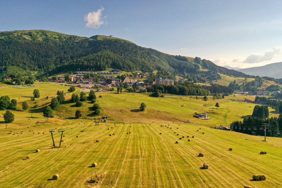 _Donovaly's tweet photo. Júlový pohľad na zjazdovky na Záhradišti ☀️🌾⛰🇸🇰
@ThisIsSlovakia_ @adventoura 
.
#donovaly #parksnow https://t.co/lk6Jb0YZLx