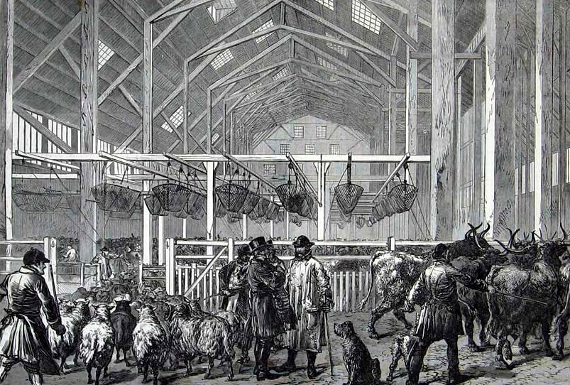 As ships grew in size and materials change, Deptford declined. The last ship was launched in the 1860s and the dockyard was closed in 1869. It became the Foreign Cattle Market and animal bones are still a common find on the foreshore here.  #LockdownLowTide