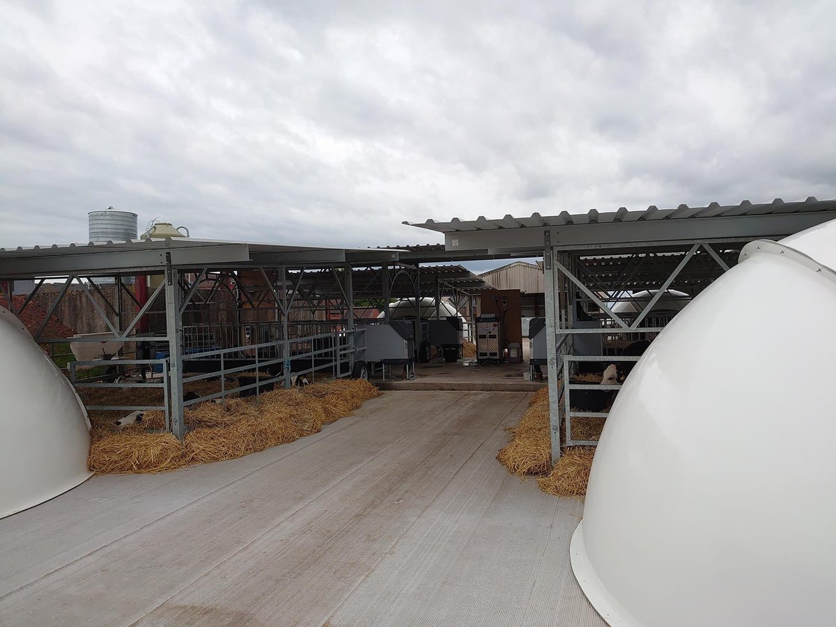GerritAanstoot's tweet photo. The most optimal and healthy calf housing, mobile or permanent, ask Holm &amp; Laue #calfigloo #calfigloos #kalveriglo #kalverhuisvesting #holstein #holsteincalves #healthycalves #calfshed #dairyfarm #happycalves #agriplastic #calftel #calfotel https://t.co/vcgij25mwU