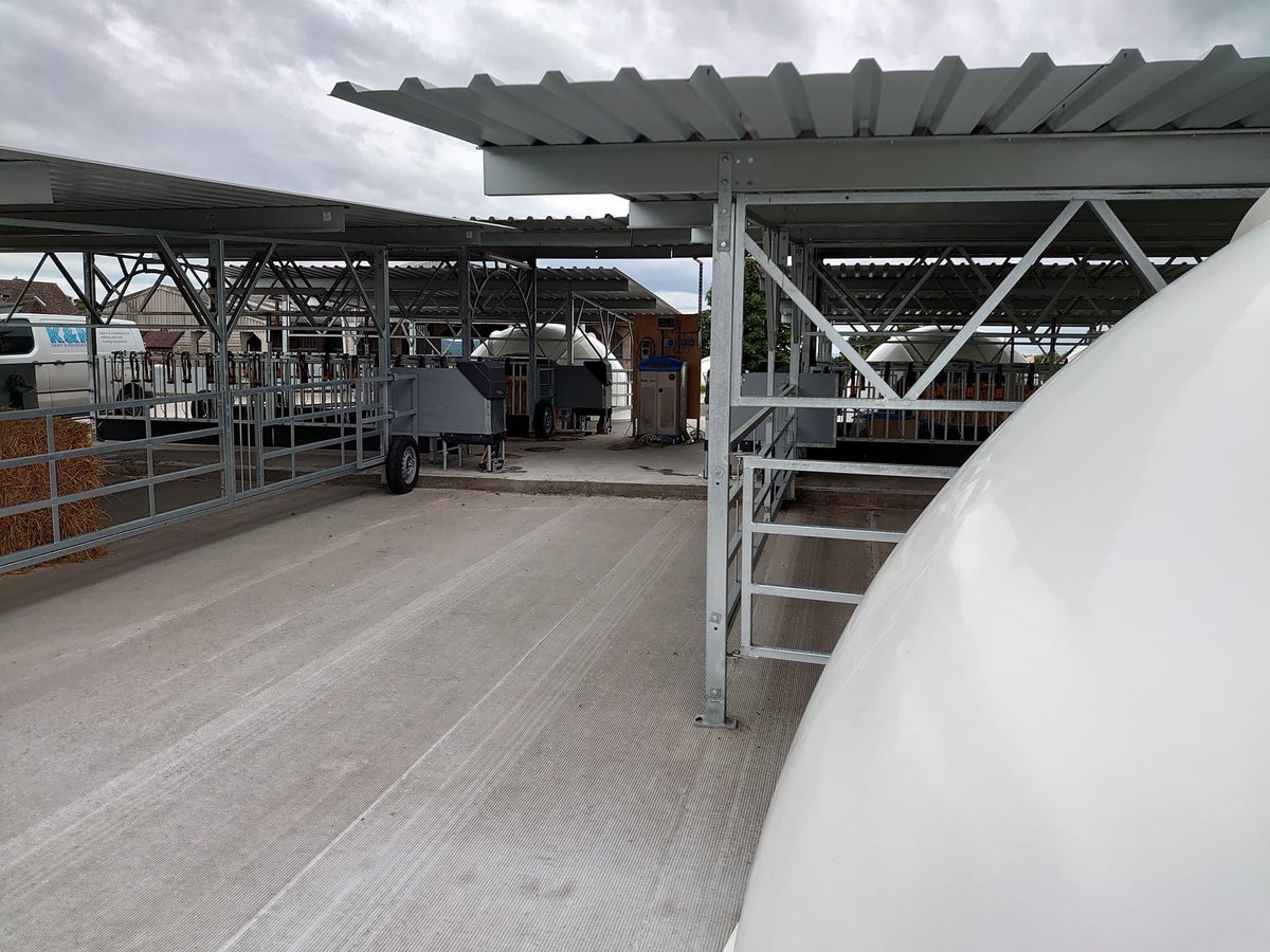 GerritAanstoot's tweet photo. The most optimal and healthy calf housing, mobile or permanent, ask Holm &amp; Laue #calfigloo #calfigloos #kalveriglo #kalverhuisvesting #holstein #holsteincalves #healthycalves #calfshed #dairyfarm #happycalves #agriplastic #calftel #calfotel https://t.co/vcgij25mwU