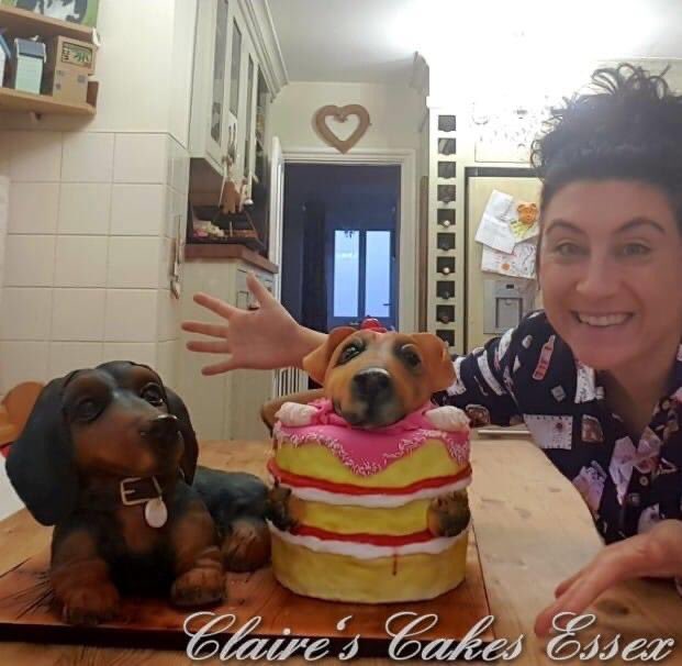 BrandomClaire's tweet photo. Oh I do love to make my Life like Doggy Cakes 🥰🐾#dogcakes #instacakes #omgcakes #amazingcakes #lovemydog #dog #sausagedog #terrierdog #wowfactor #extremecakemaker 🐾🍰 https://t.co/ZHu9hOATrC