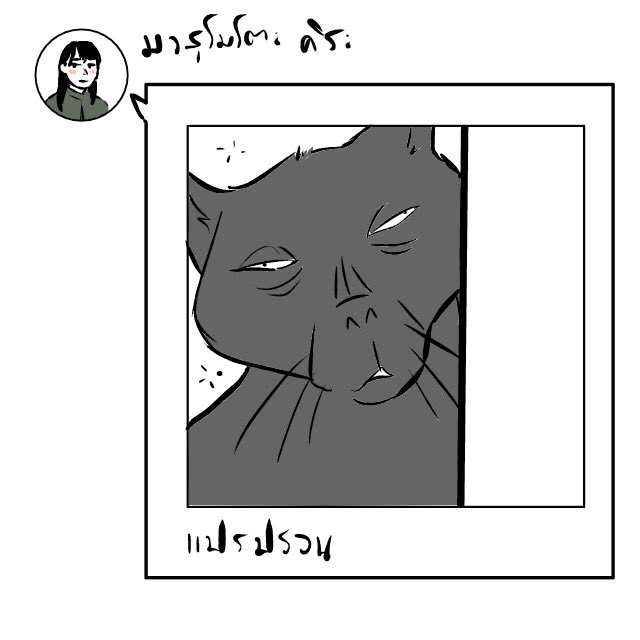 บุลลี่แมวตัวเองเก่งสุด /ผิดเดี๋ยวลบเด้อ 