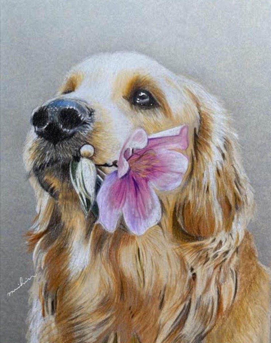 Hukuk sistemimize göre hayvanlar mal statüsünde kabul edildiğinden, hayvana karşı şiddet, tecavüz veya öldürme fiilleri cezasız kalmaktadır. Hayvanlara mal statüsü tanınması kabul edilemez. Hayvan hakları da insan hakları gibi yasayla korunmalı ve bu yasa derhal çıkarılmalıdır.