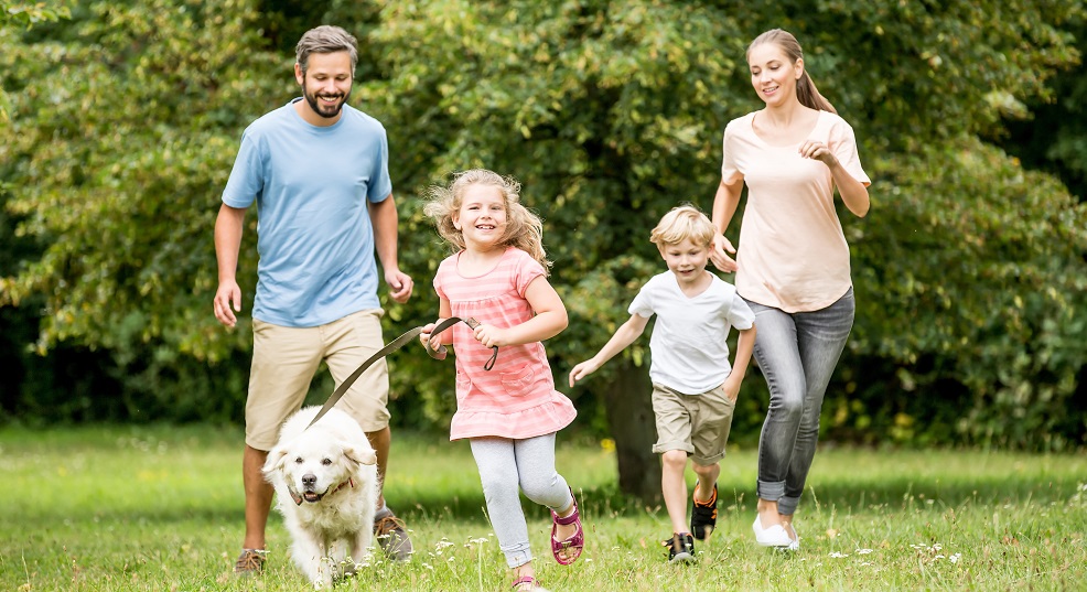 ActiveLincs's tweet photo. To encourage children to be active over the summer we've created an activity log in which children can record how they're moving each day. Download 'My Active Summer Log' and find fun ideas to get active here 👇
https://t.co/X21MlkoUcZ
#Letsmovelincs #activesummer https://t.co/G7UDUOCXJt