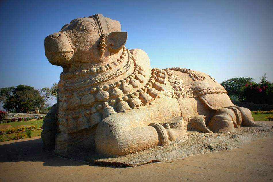 Amazing Nandi statue at Lepakshi in Andhra Pradesh, BHARAT (India) The spectacular Nandi is one of the biggest monolithic Nandi in India. Lepakshi, the huge Nandi bull made of a single granite stone with 4.5m high and 8.23m long