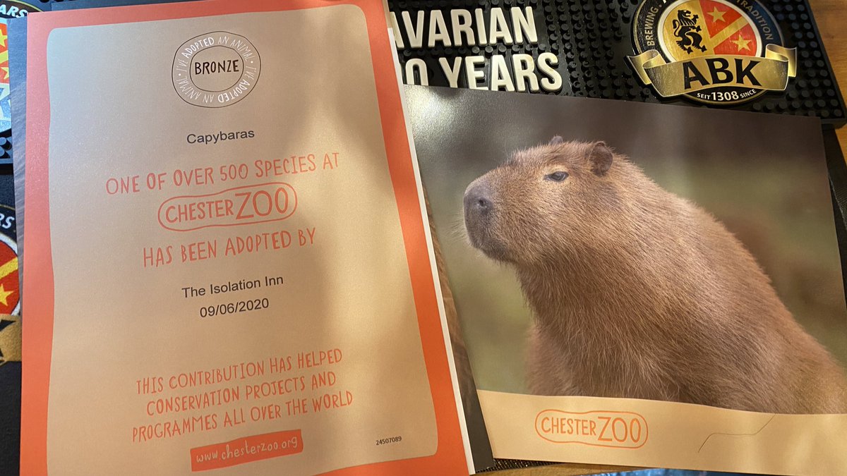 Behindthepumps's tweet photo. Our adoption pack has arrived for our #isolationinn Capybara from @chesterzoo being proudly displayed in the pub xx https://t.co/UGj0Ft5Y1D