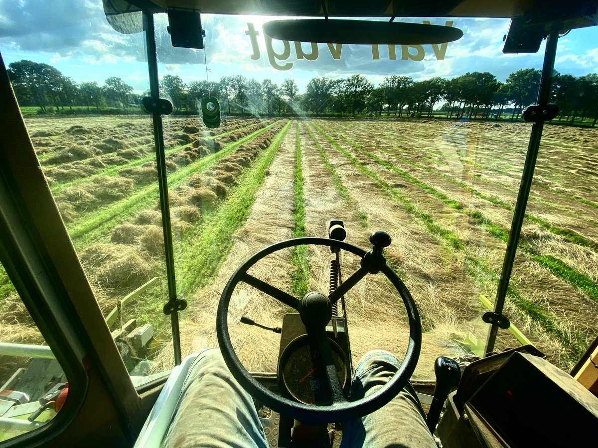 #akker ondanks dat het een week ruim gemaait lag. Toch mooi kunnen opruimen het graszaad <a href="/DSV_zaden/">DSV zaden Nederland</a> <a href="/nieuweoogstnl/">Nieuwe Oogst</a>