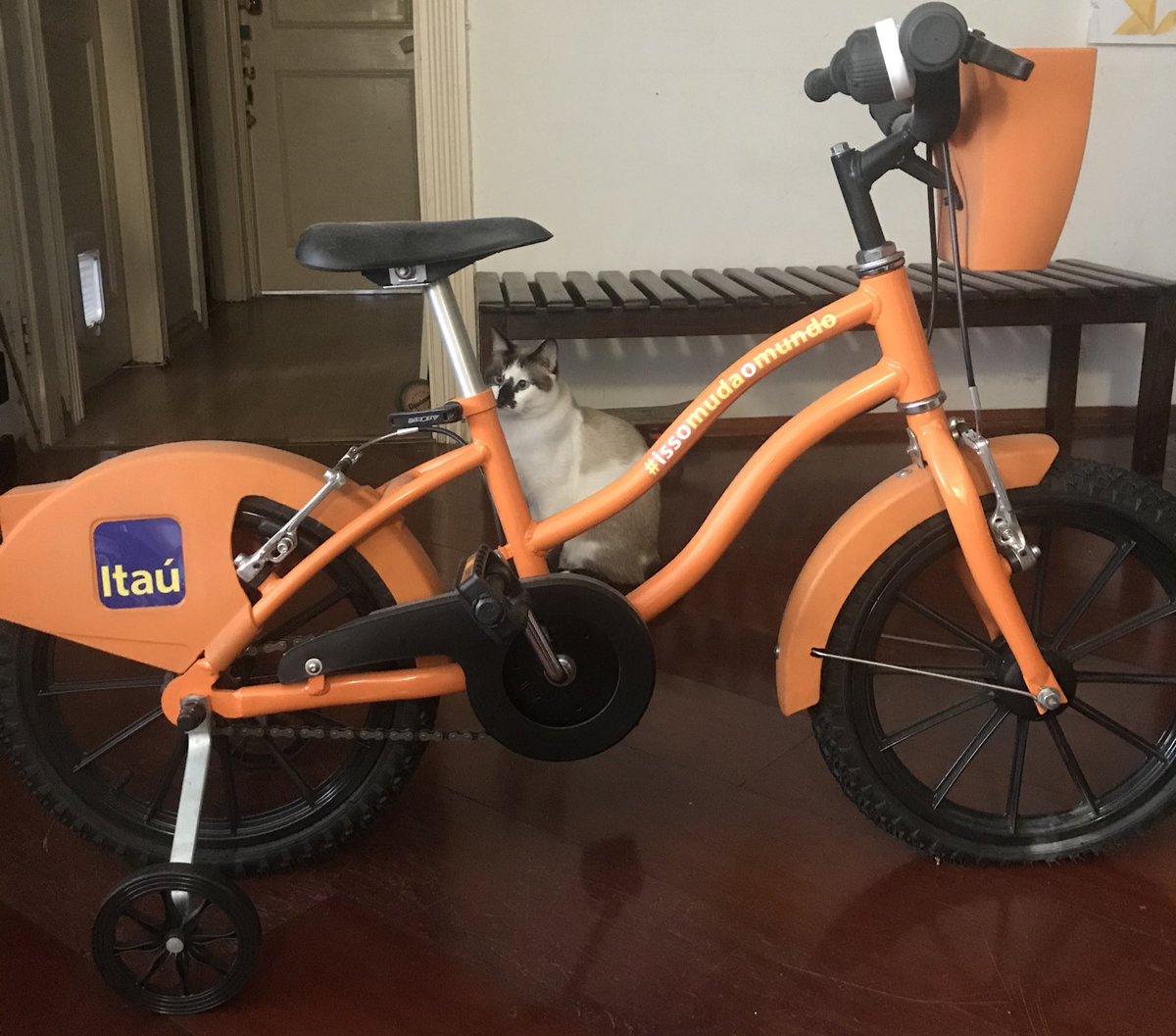 SilviaBallan's tweet photo. Vendo bike aro16. Réplica da laranjinha bike sampa.
Nunca usada, está nova!
Preco: 400 reais 
Localização: próximo ao Pq.Ibirapuera em São Paulo, capital.
Tem que retirar. 
Interessados, envie nos comentários ou por DM.
#vendobike
#aro16
#vendo https://t.co/xjyCm1B6mZ