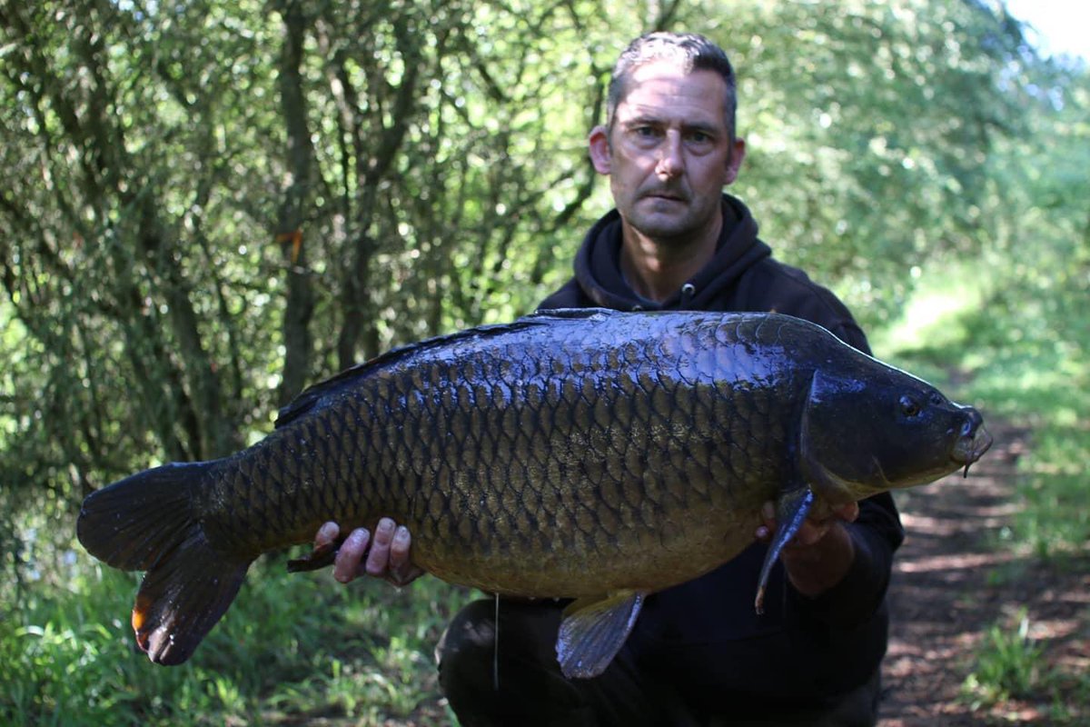 CarbonBaits's tweet photo. Darren Hollidge recent venture out to his local syndicate payed off with this stunning common caught over a scattering of Hemp &amp; Snails 
.
.
#carbonbaits #hasslefree #particle #hemp #maize #tigers #minimix #partimix #hookbaits #carpy #angling #carpfishing #carp #angler https://t.co/JLdjdSyyKi