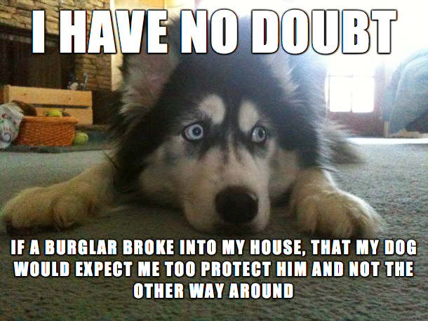 AdvancedAlarmUK's tweet photo. Don't rely on the dog 😆🐶
Rely on us instead... 👉https://t.co/ZfAe4jJYnI 

#Grimsby #Cleethorpes #Immingham #LincsConnect #NELincs #LoyaltoLocalNEL #TotallyLocallyNEL #BurglarAlarm #CCTV #GuardDog #WeProtect https://t.co/XxYSO0ahr6