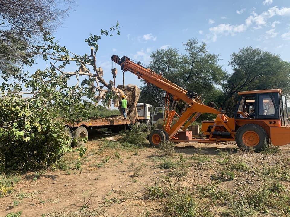 LicypriyaK's tweet photo. In India 🇮🇳, we have something called “Tree Ambulance 🚑”. It provides emergency services to transplant trees 🌳 from one place to another instead of cutting down and also to treat sick trees affected by termites &amp; other insects. Soon, Chandigarh also will have one. https://t.co/bubTwzoSEb