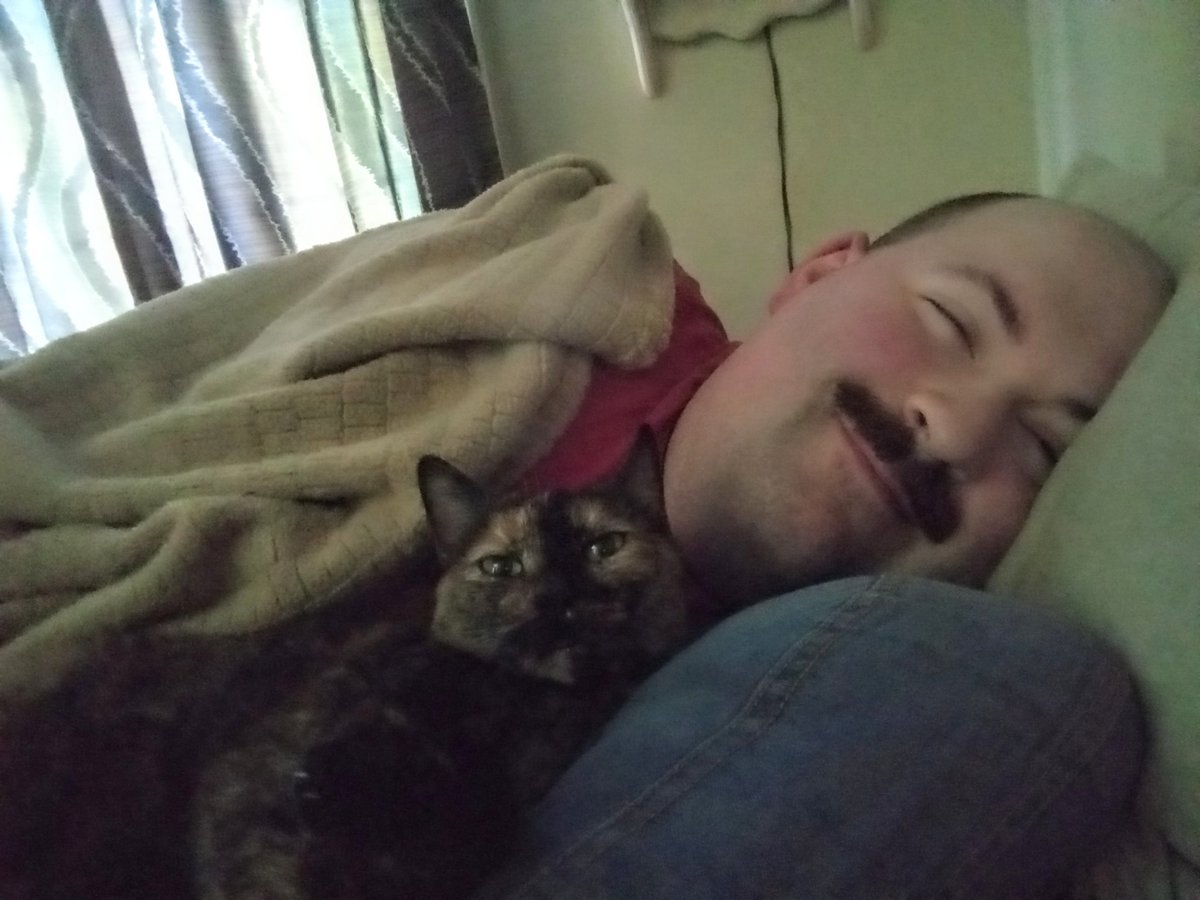 ScooterDoodles's tweet photo. Even when I take a nap or sleep, Quinn never leaves my side 😸😴😄 #tortieswithcartoonists #sleepingissues #lovingkitty https://t.co/rW2SPRcCoF