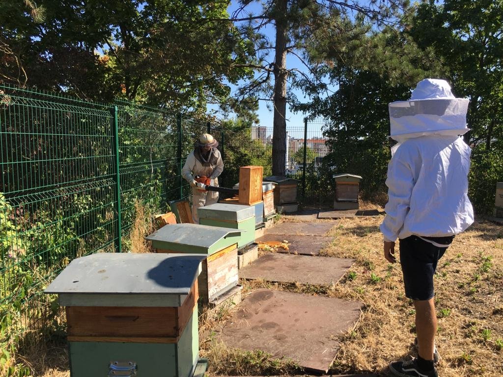 rsudd_UPN's tweet photo. Et voilà ! 140 kg de miel du rucher de l'@UParisNanterre sont prêts pour être dégustés 🍯 Un grand merci à @VilleNanterre, @CrousVersailles, association Labeess, sans oublier nos abeilles  🐝 https://t.co/5LSs1T0xhx