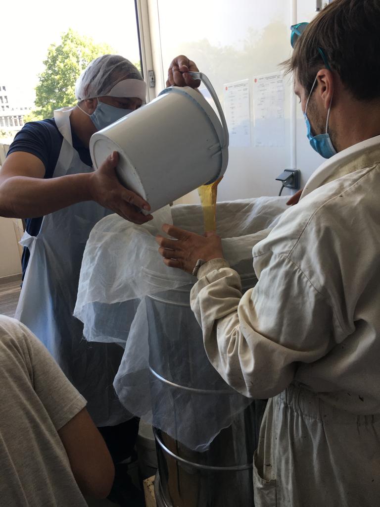 rsudd_UPN's tweet photo. Et voilà ! 140 kg de miel du rucher de l'@UParisNanterre sont prêts pour être dégustés 🍯 Un grand merci à @VilleNanterre, @CrousVersailles, association Labeess, sans oublier nos abeilles  🐝 https://t.co/5LSs1T0xhx
