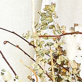 🦢 * / 𝓗- 𝑒𝑙𝑙𝑜 ✿ 𓈒 

        Flobby ⊹ wonyoung ┊͙04.abc
      ⁎ ˓ แลกฟอล ✧ ตามทัก ˒ 🕯 𓈒

ʚ ลฟตท❔˙ ₊