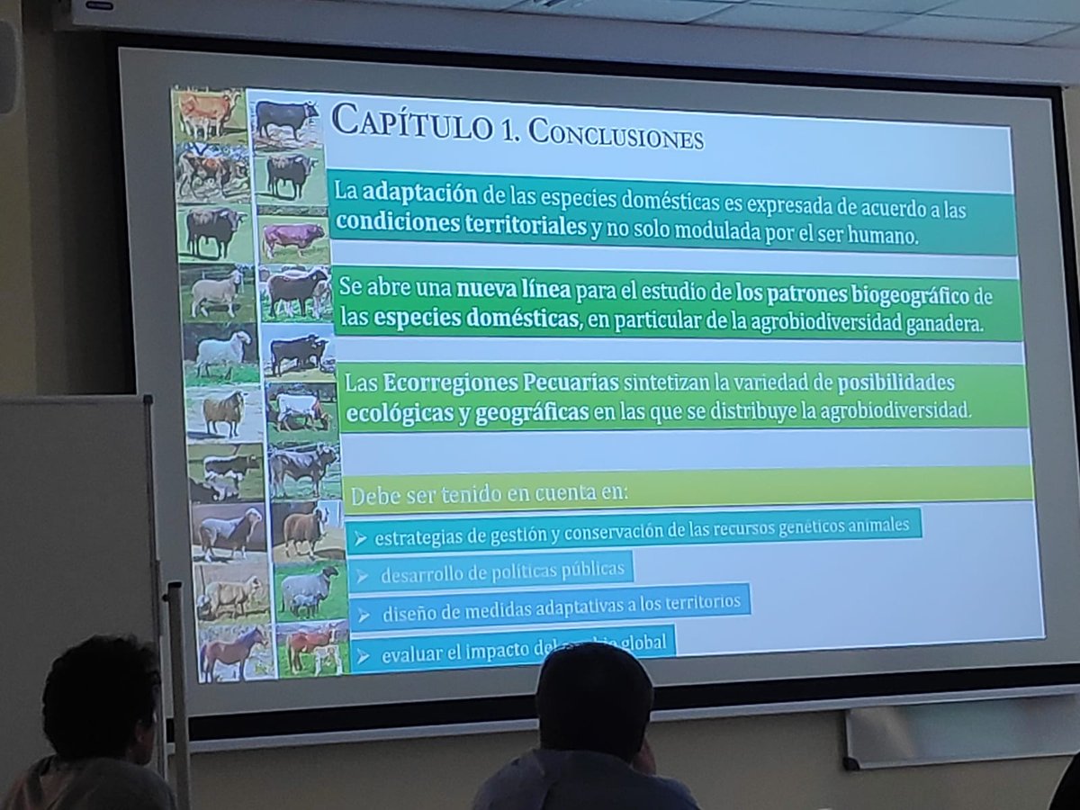 Real Federación de Asociaciones de Ganado Selecto tweet media