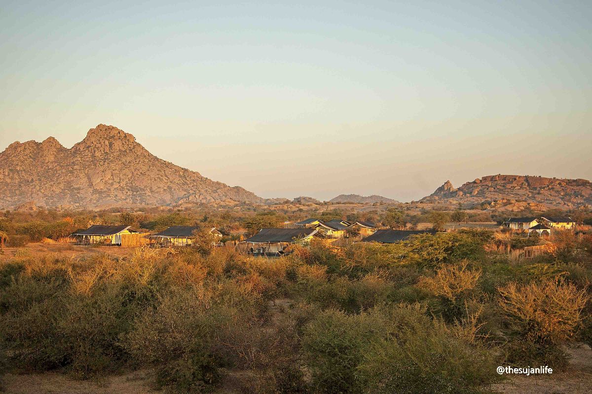 MahoutUK's tweet photo. Mahout Memo - Glorious Glampin in Rajasthan, India - Come and stay at some of India's finest tented camp.  https://t.co/19kprVblP5 https://t.co/M9SMJdOXh8