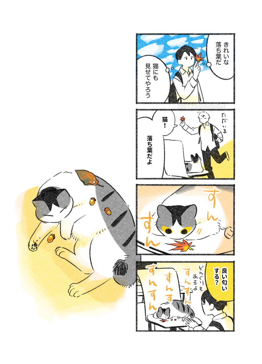 猫にお土産 