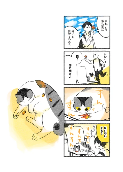 猫にお土産 