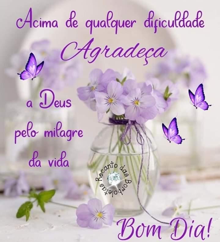 Enos Mendes trên Twitter: Enos Mendes trên Twitter: