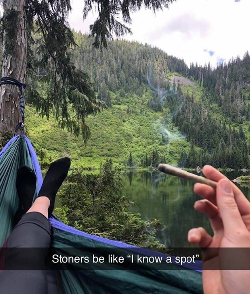 Intl_Highlife tweet picture