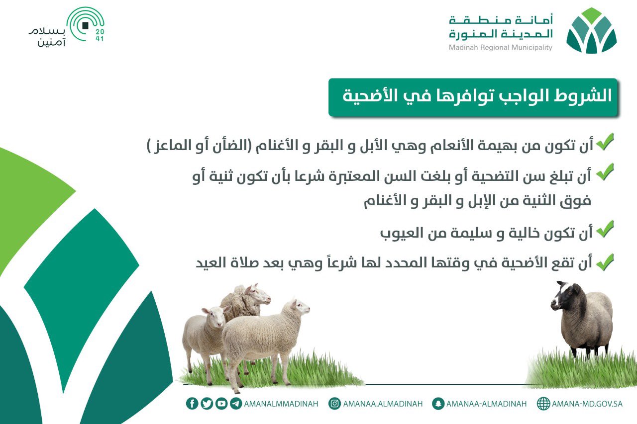 الاضحية الاضحية تكون من بهيمة الانعام إن كنوز الابداع في اللغة العربية فيسبوك