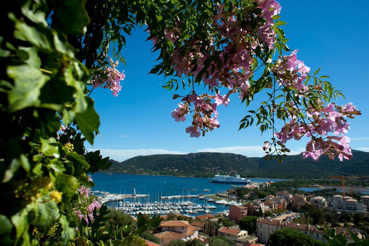 Justcorsica's tweet photo. Porto Vecchio is an elegant, cultured and energetic town overlooking the magnificent Gulf of Porto Vecchio.

https://t.co/YKkfgqSdCG

#Corsica #travel #holiday #sunshine #PortoVecchio https://t.co/pRprFNHzC5
