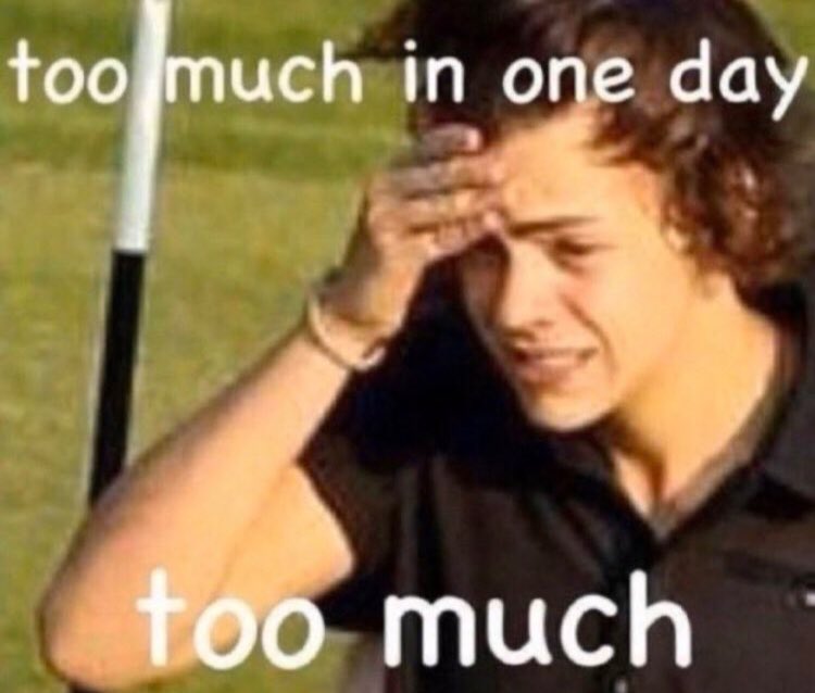 jilixdaisy's tweet photo. mood https://t.co/QxP0K9lk0k