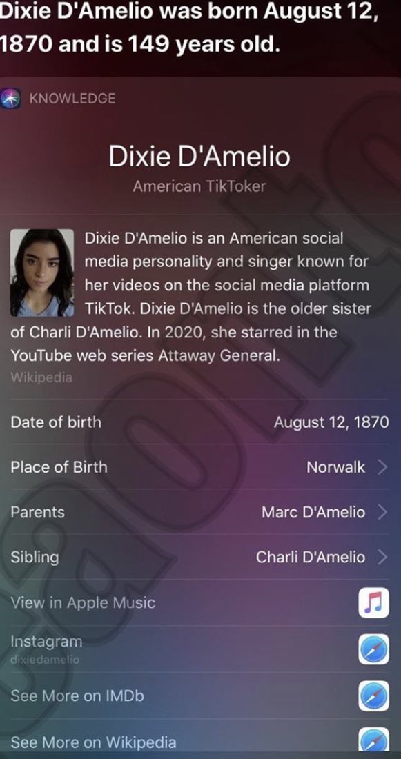 Dixie Damelio Twitter Dixie Damelio Twitter