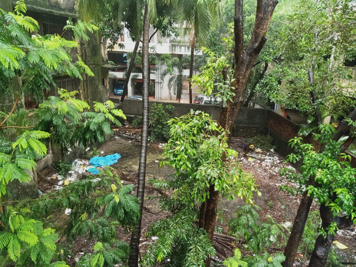 SiddhantMohite1's tweet photo. #MIDC Staff Quarters, at AzadNagar 1, #Andheri W, which has been identified as unsafe &amp; has been vacated years ago. A few of the nearby residents were hospitalised due to dengue &amp; malaria. We demand @mybmc to clean, sanitize &amp; fog the premises to ensure safety of the citizens. https://t.co/ZzKM1WPySB