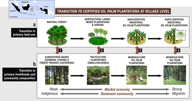 Our new evaluation covers most Indonesia. 36,311 villages in Kalimantan, Sumatra & Papua! Latest census;latest maps. Over 18 years tracking changes from b4 plantations were even planted to years after they were certified. The matching is REALLY complicated!  #DICECON20  #BioHWB/4
