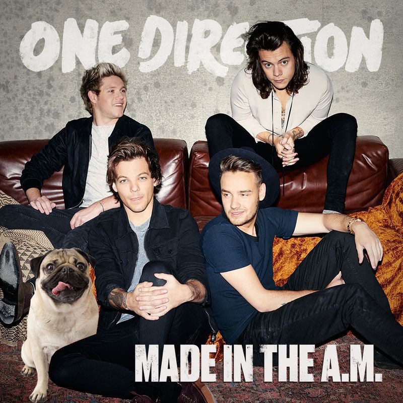 itsdougthepug's tweet photo. Can’t believe it’s been 10 Years #10YearsOfOneDirection https://t.co/vXm9QuxEMD