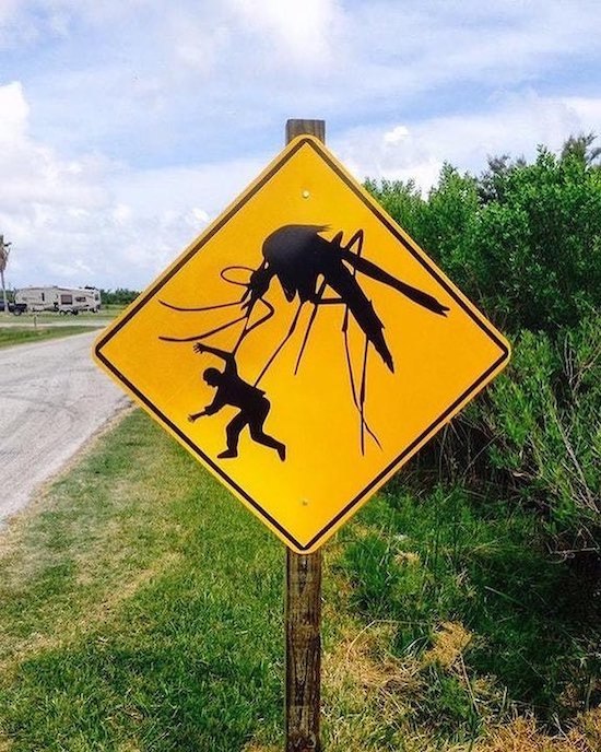 beta_v's tweet image. 