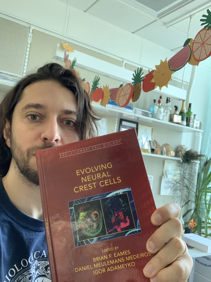 Our book named “Evolving neural crest cells” is finally out! If you are curious about how the neural crest cells shaped a vertebrate body via marvelous changes in embryonic development, this one is for you. Can be ordered via Amazon etc.. 
Huge thanks to all authors and editors!