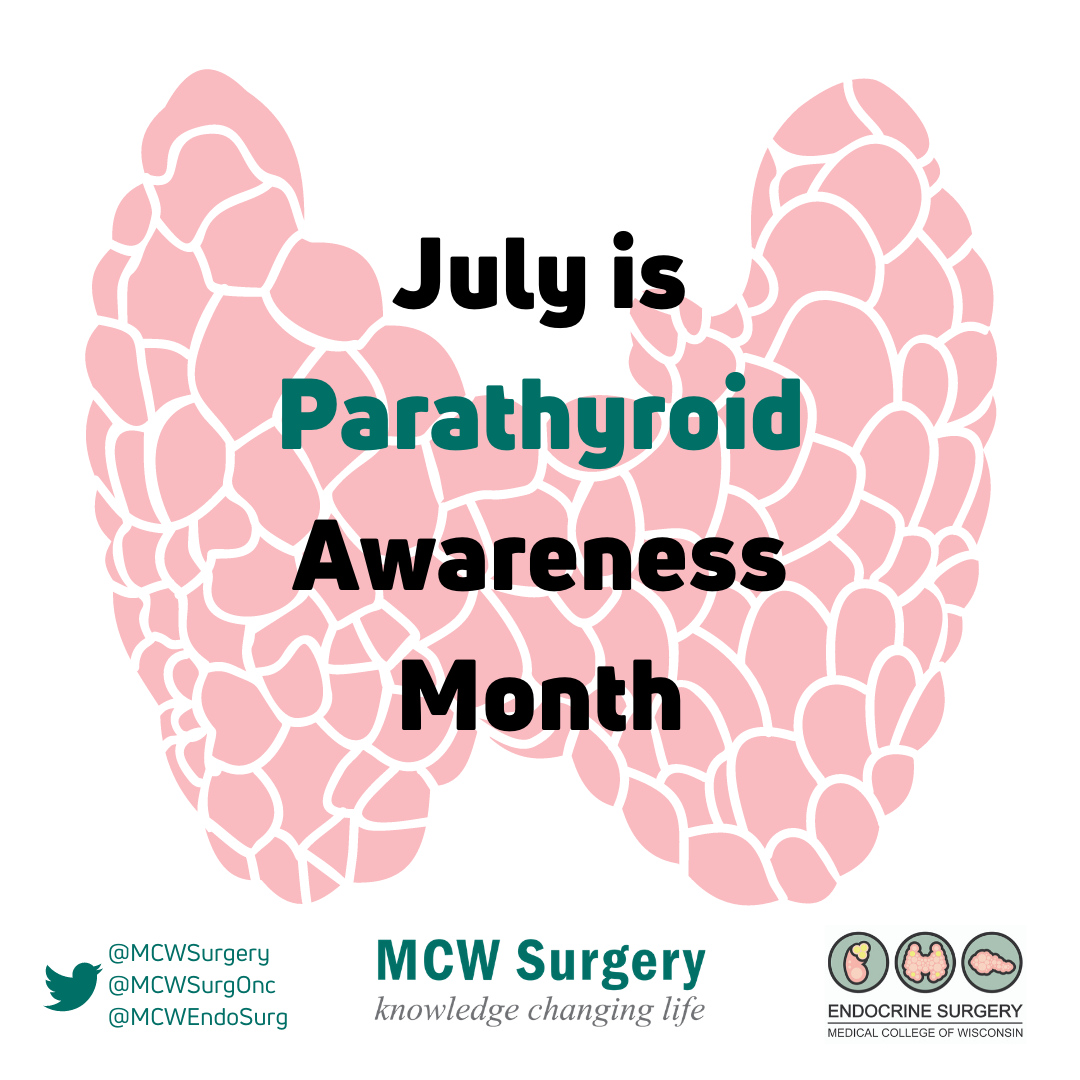 MCW Surgery (@mcwsurgery) on Twitter photo Did you know 69% of patients with a high serum calcium level do not receive an adequate workup for #hyperparathyroidism?
#parathyroid #checkyourcalcium #checkyourPTH <a href="/MCWEndoSurg/">MCW EndocrineSurgery</a> <a href="/TheAAES/">American Association of Endocrine Surgeons</a> <a href="/ParaTroupers1/">ParaTroupers</a> <a href="/TheAACE/">AACE</a> <a href="/TheEndoSociety/">Endocrine Society</a> <a href="/MedicalCollege/">Medical College of Wisconsin</a>
pubmed.ncbi.nlm.nih.gov/28678063/ Did you know 69% of patients with a high serum calcium level do not receive an adequate workup for #hyperparathyroidism?
#parathyroid #checkyourcalcium #checkyourPTH <a href="/MCWEndoSurg/">MCW EndocrineSurgery</a> <a href="/TheAAES/">American Association of Endocrine Surgeons</a> <a href="/ParaTroupers1/">ParaTroupers</a> <a href="/TheAACE/">AACE</a> <a href="/TheEndoSociety/">Endocrine Society</a> <a href="/MedicalCollege/">Medical College of Wisconsin</a>
pubmed.ncbi.nlm.nih.gov/28678063/