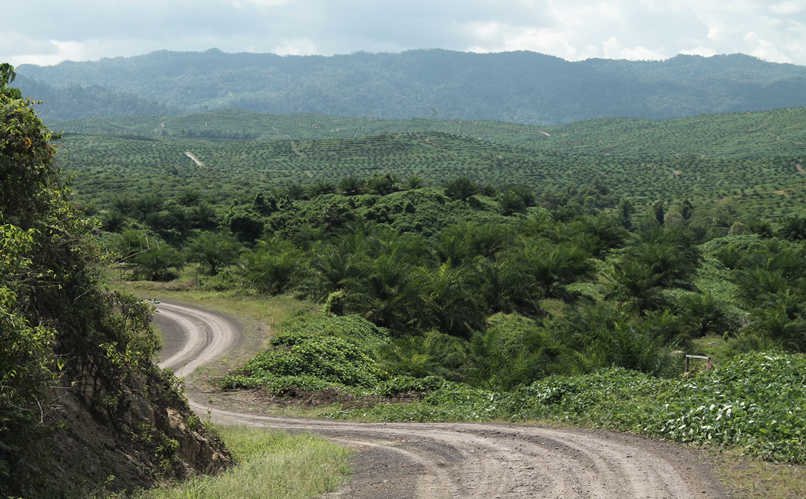 So RSPO CAN reverse negative impacts of standard oil palm on local communities, BUT isn’t (yet) working in all areas. Lots of lessons to be learned along the long road to more sustainable palm oil. Watch this space &  @defaunation for the full results soon! #DICECON20  #BioHWB /6