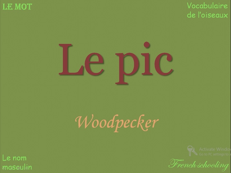 frenchschooling's tweet photo. 🇫🇷 Le pic
🇬🇧 Woodpecker
Twitter/ Fb/ IG/ Pin @frenchschooling
#frenchschooling #motdujour #lepic #woodpecker https://t.co/zgOdwgrXNi