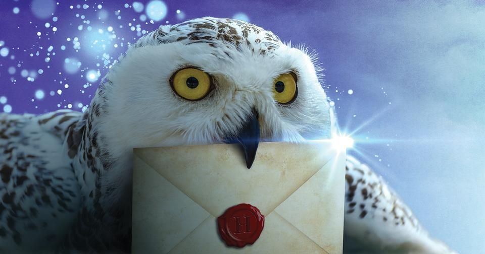 EdmondsLibrary's tweet photo. Harry Potter week starts today! Head over to https://t.co/DtZgFU3iCI to find Magical events every day until the 31st, including online craft and chats, trivia nights, and downloadable activities! #HarryPotter #SummerReading #kids #parents @snoislelibrary #edmondslibrary #library https://t.co/hdHJOSlySu