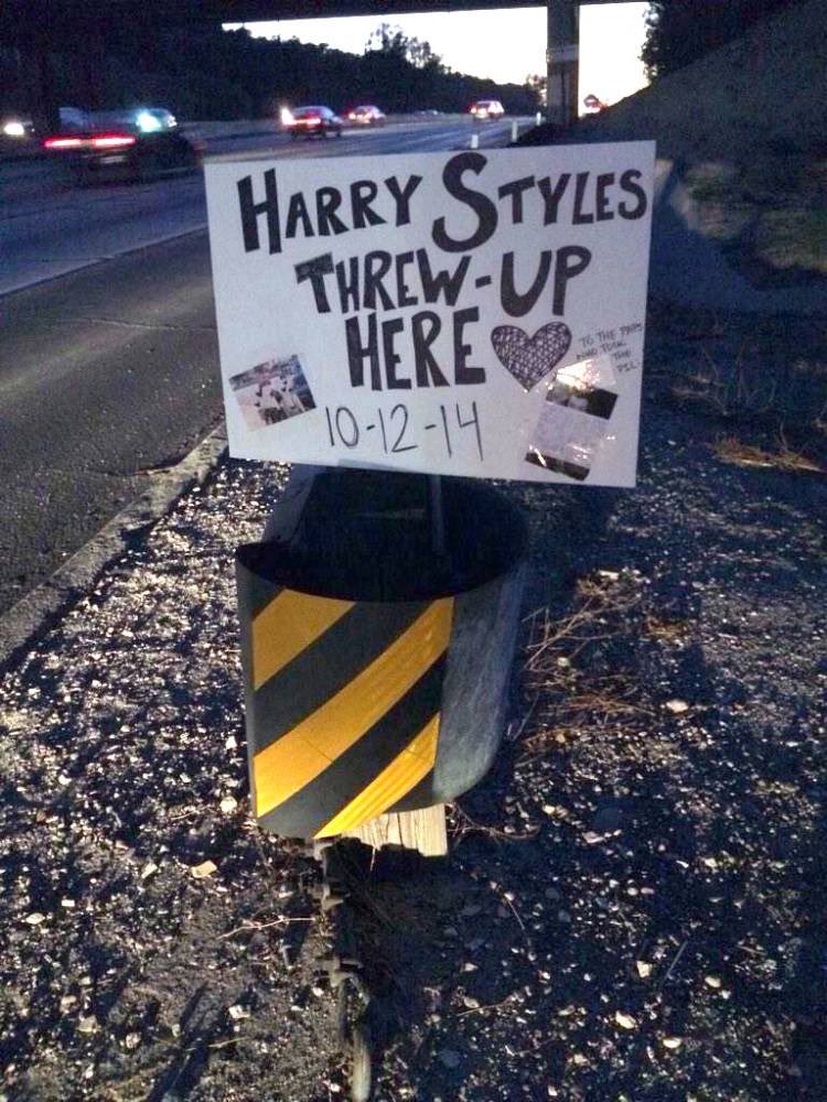 TheAffinityMag's tweet photo. ICONIC DIRECTIONER MOMENT NUMBER EIGHT: When Harry Styles pulled over by the side of the road to vomit after a night out partying, and Directioners built a shrine to the spot where Harry got sick.
#10YearsOfOneDirection https://t.co/QVMpkW7pbN